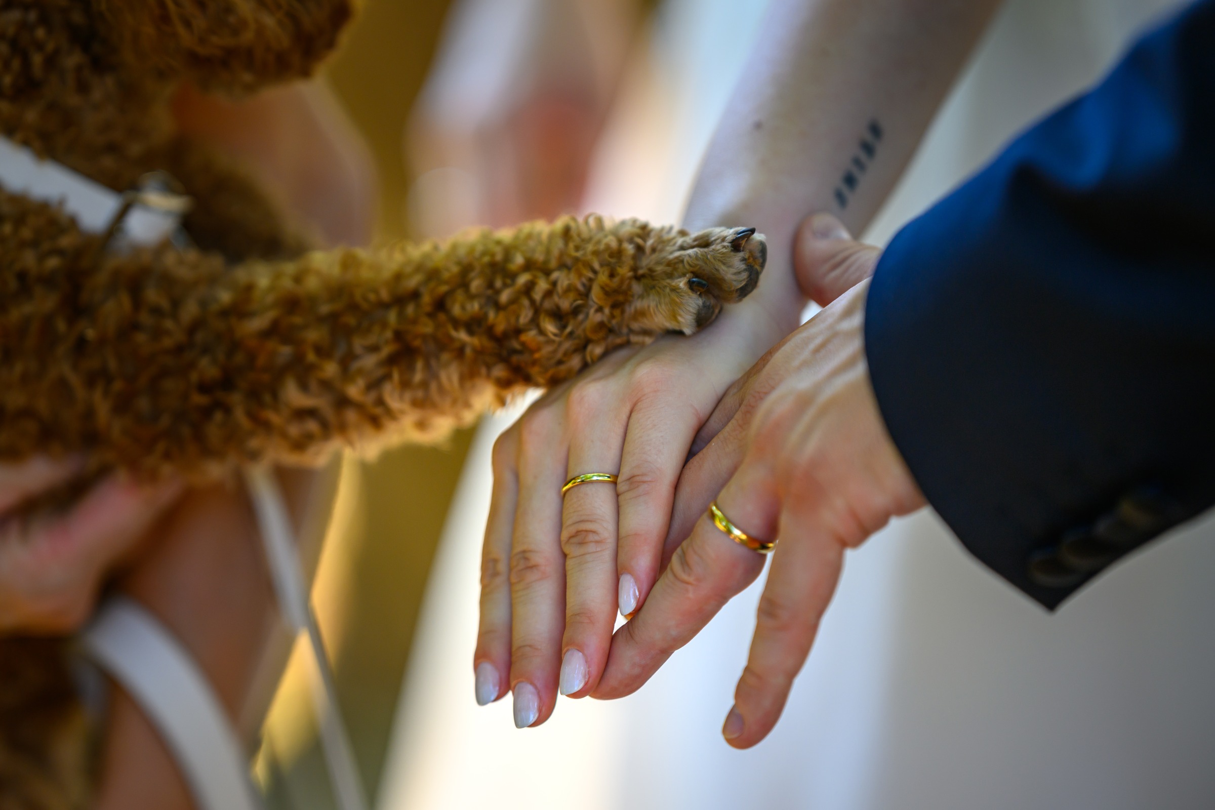 Sabbo&Cate-Anteprima-53